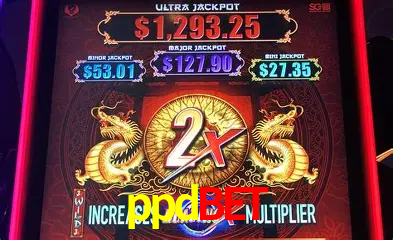 Casino Ao Vivo ppdbet