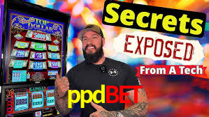 ppdbet,ppdbet.com
