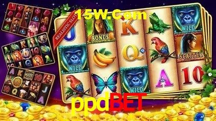 Interface moderna da plataforma ppdbet