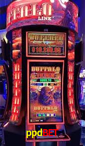 Cashback e recargas na ppdbet